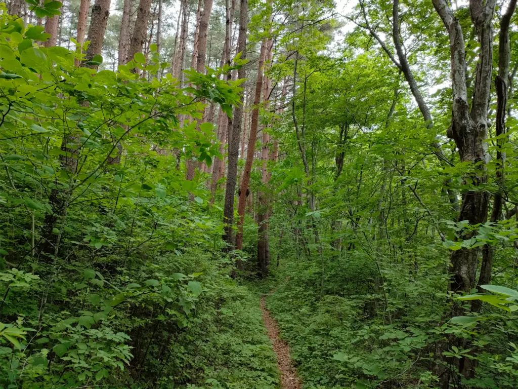 みちのく潮風トレイル