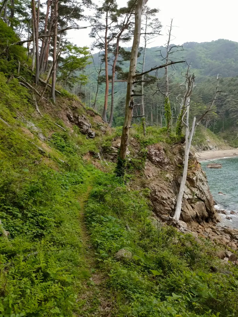 みちのく潮風トレイル