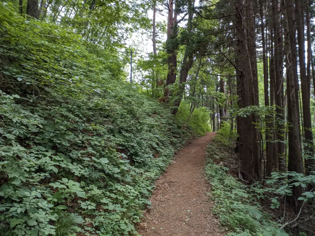 魹ヶ崎までの道