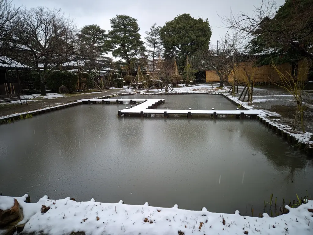 北方文化博物館　古代ハスの池