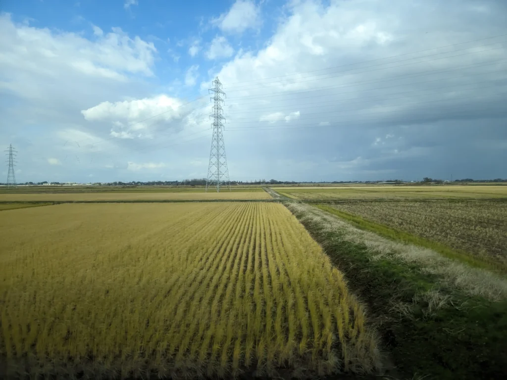 弥彦線の車窓