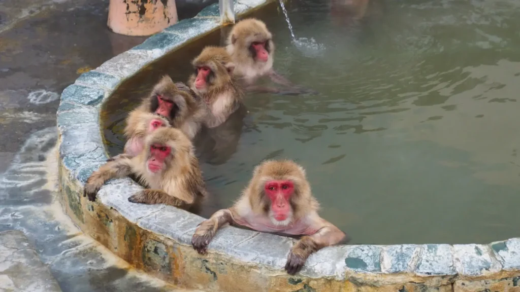 函館市熱帯植物園