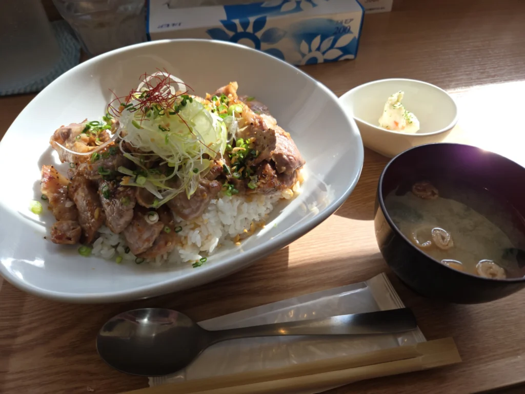 霜降り肩ロースのステーキ丼
