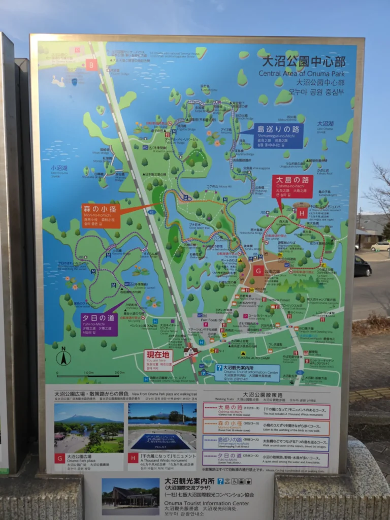 大沼公園地図